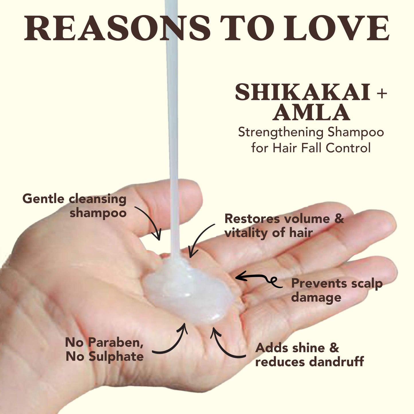 Strengthening Shampoo with SHIKAKAI + AMLA for Hair Fall Control (Wholesale)