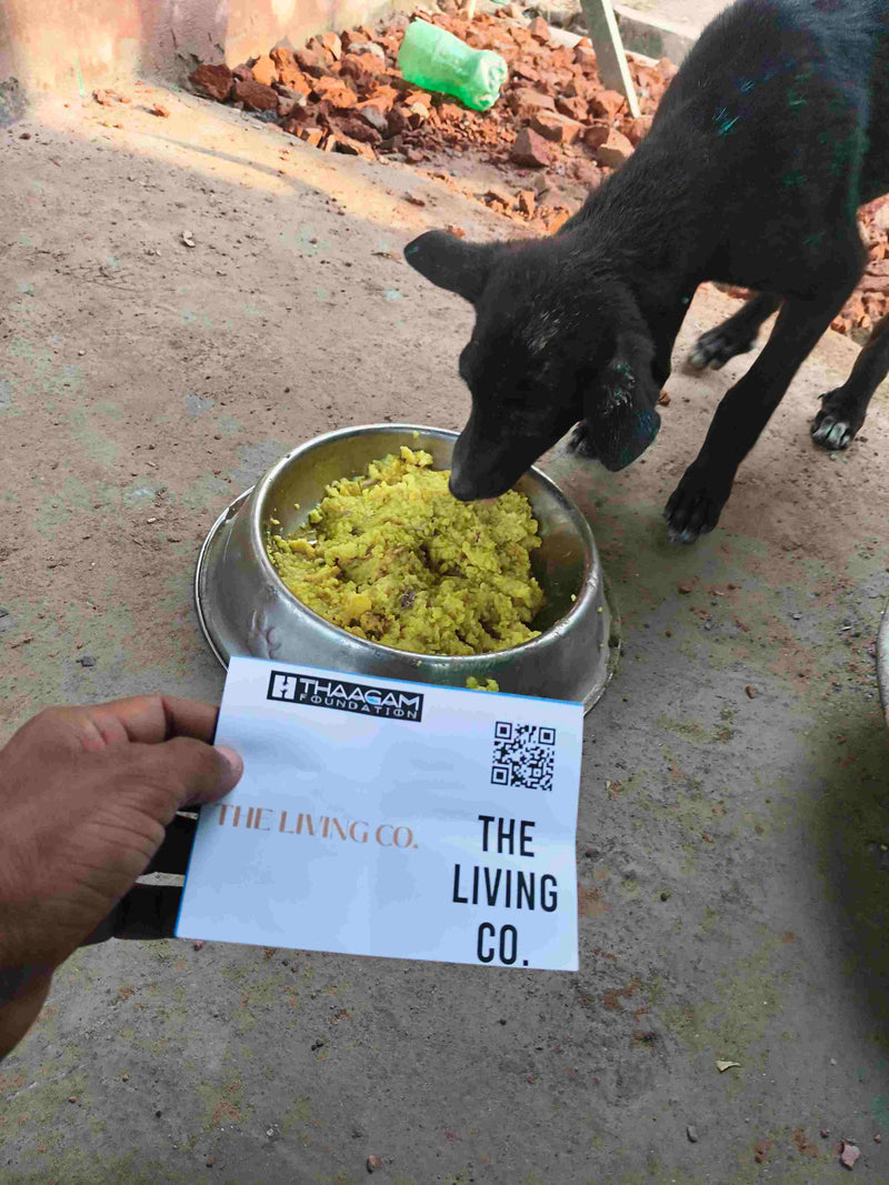 Stray Dog image 75