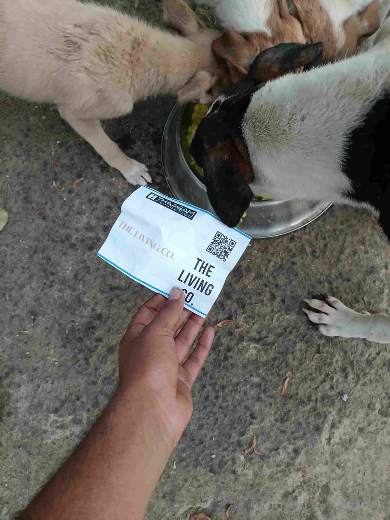 Stray Dog image 76