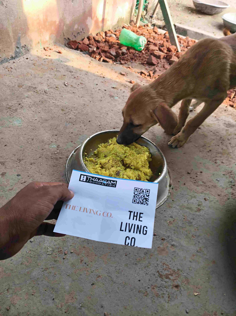 Stray Dog image 77
