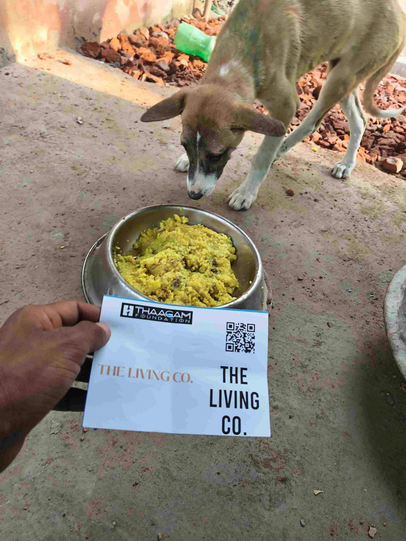 Stray Dog image 78