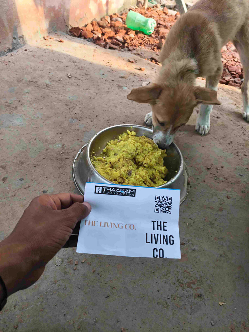 Stray Dog image 67