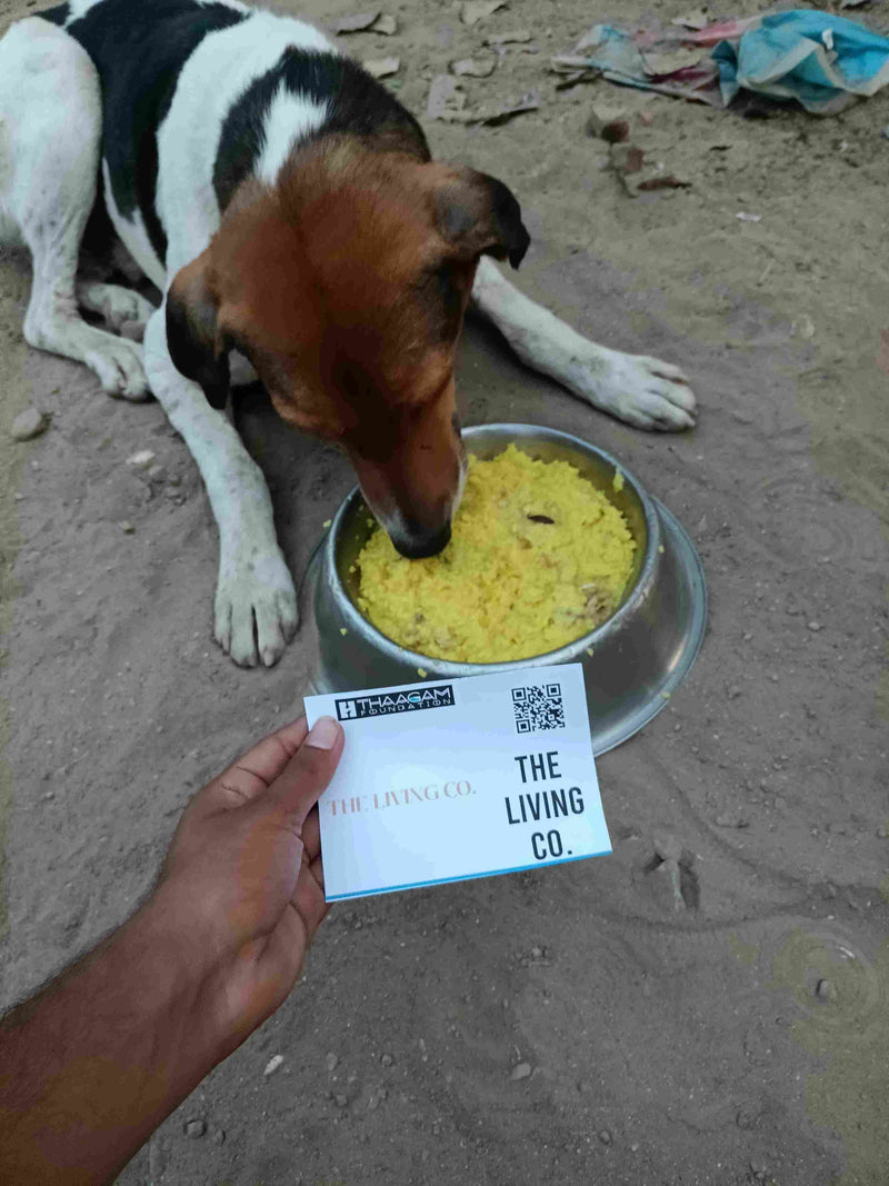 Stray Dog image 68