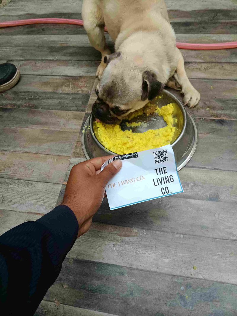 Stray Dog image 32