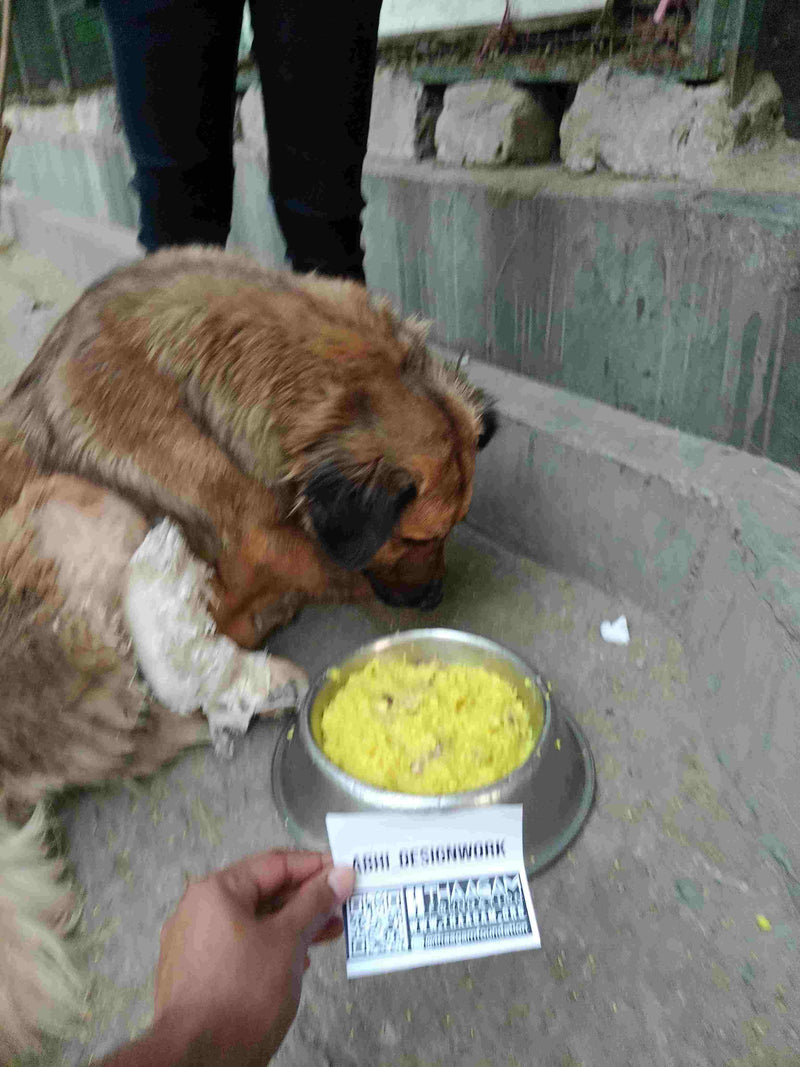 Stray Dog image 69