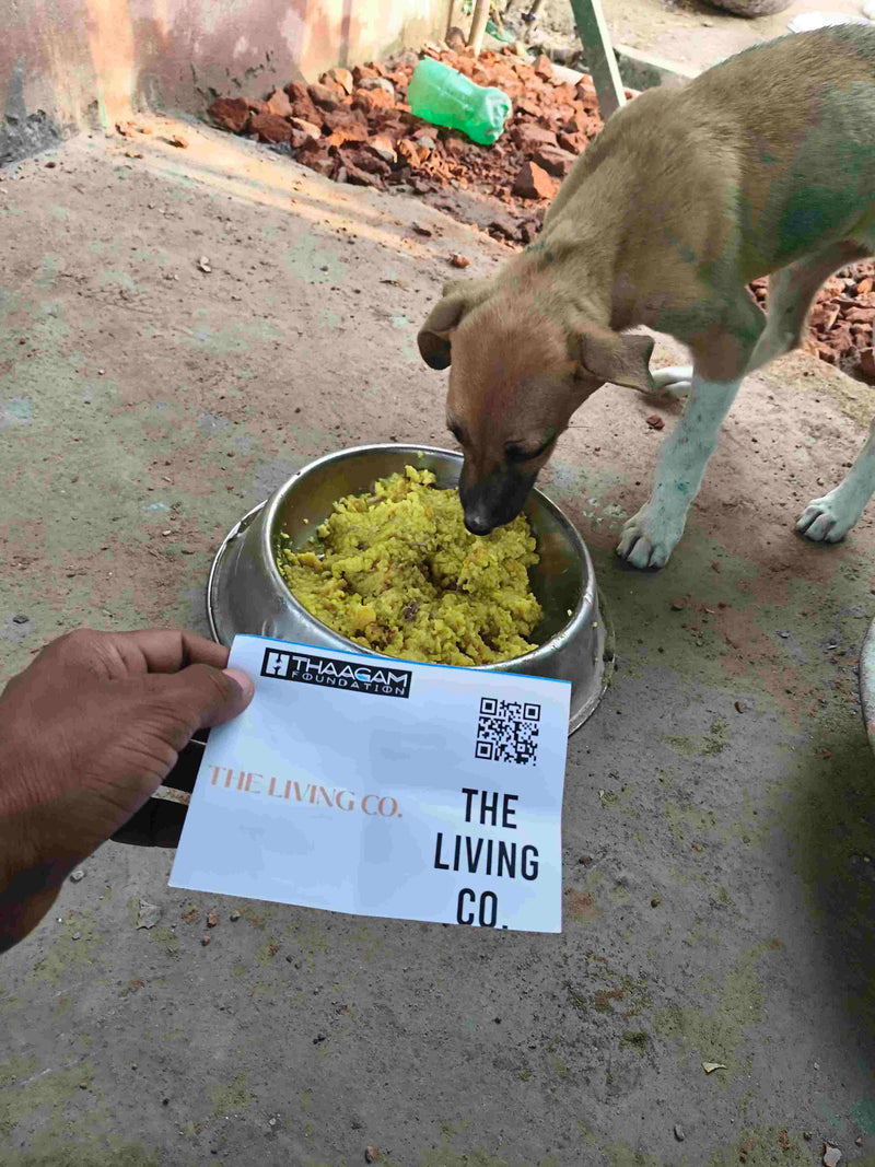 Stray Dog image 71
