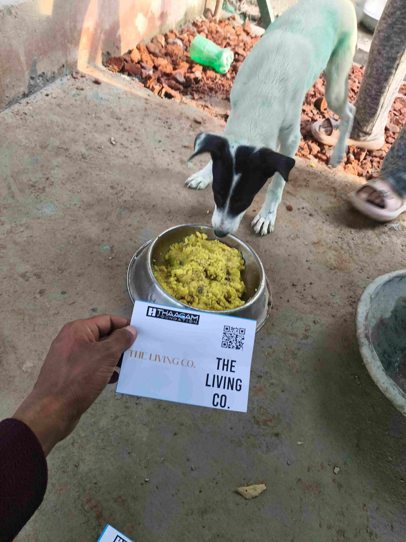 Stray Dog image 72