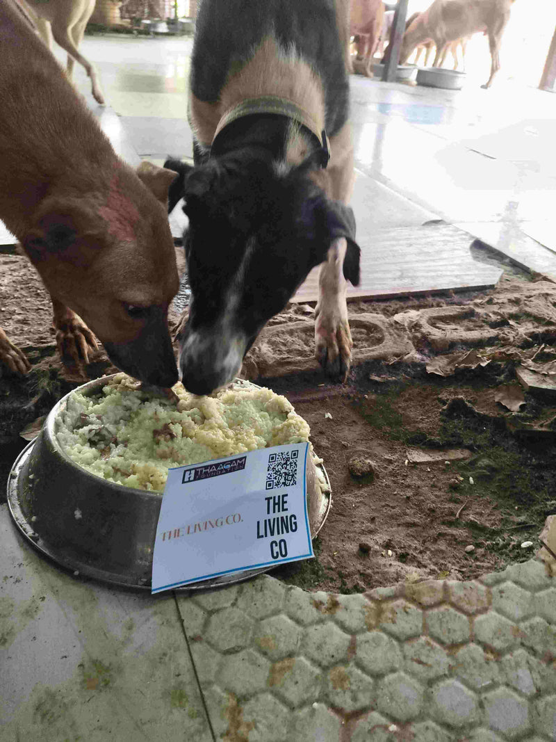Stray Dog image 138