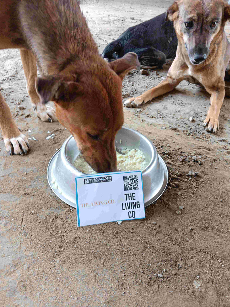 Stray Dog image 83