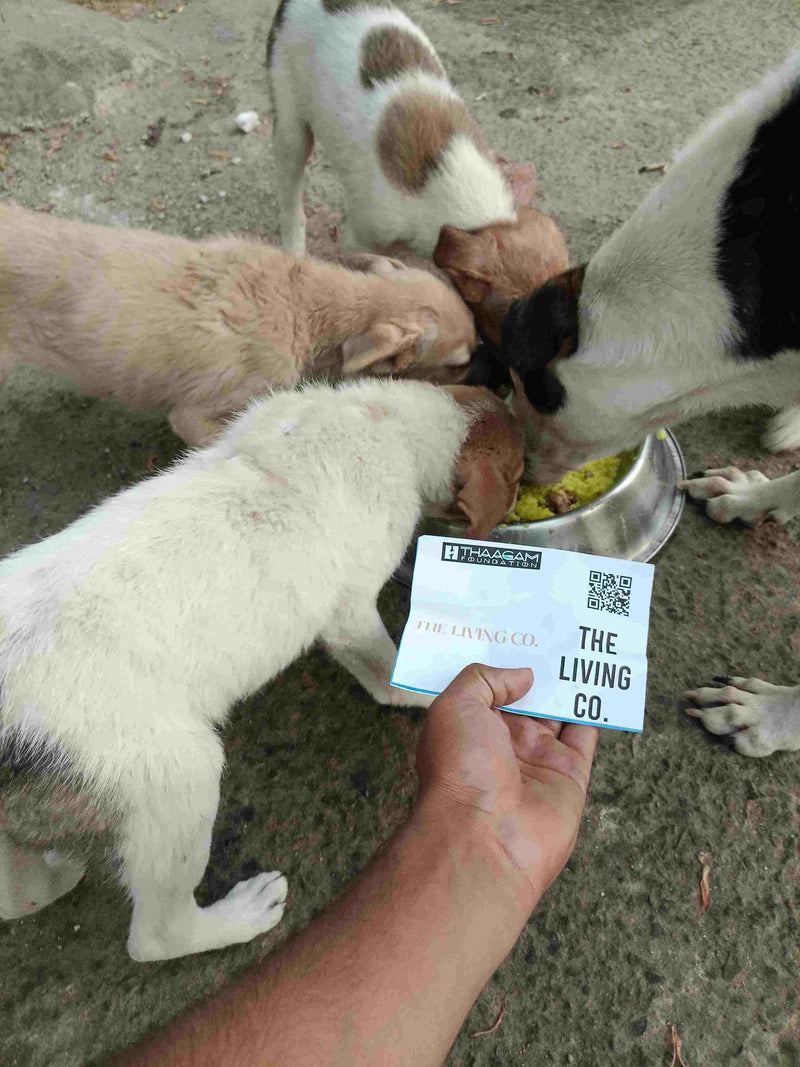 Stray Dog image 74